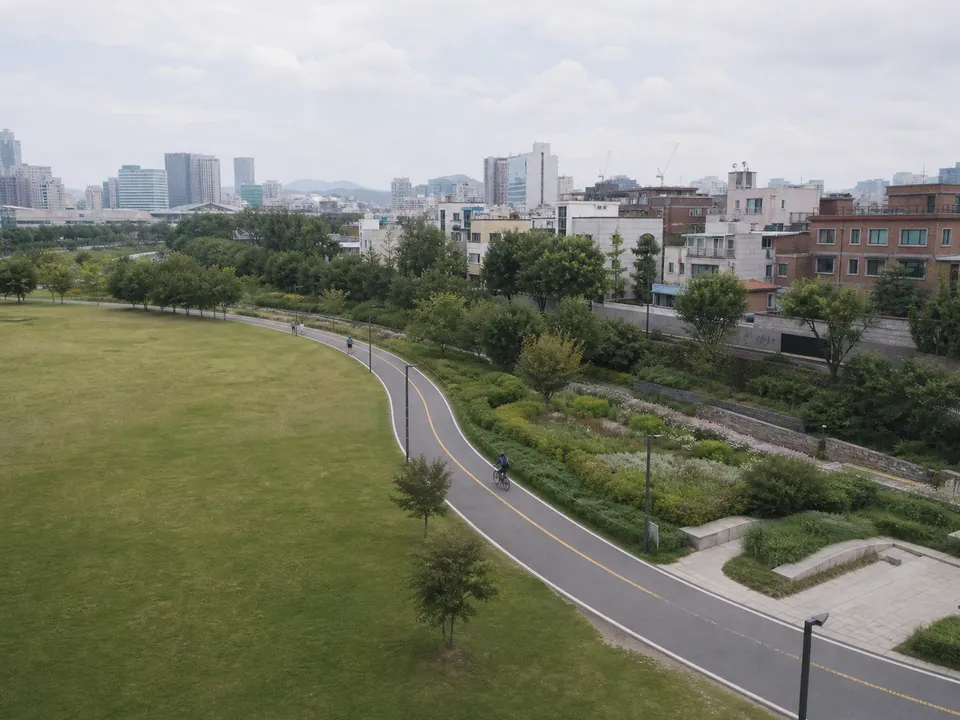 A curved park route along the urban edge of Seoul Forest.